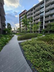 Pasir Ris Central Residences (D18), Condominium #461771791